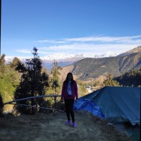 Hema B