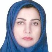 Nasrin Etminan