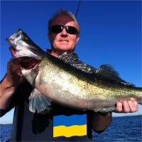 Per J Kvarnström