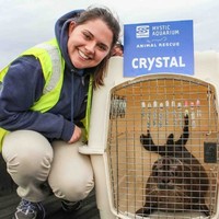 Emily Pepin