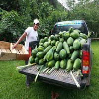 Mario Adolfo Moreno vinueza
