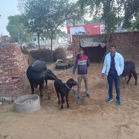 Monoo Kumar