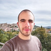 Daniele Teloni
