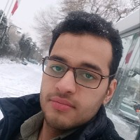 Amirhossein Tajafari