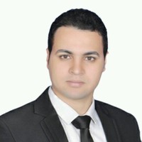 Ahmed Abdelmaksoud