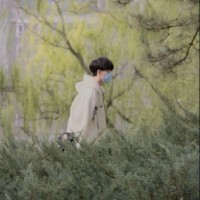 Kaiming Chen