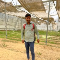 Pandey Satyam