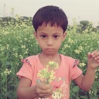 Sadikul Islam