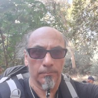 Eli Ravid