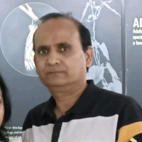 Praveen Bagaria