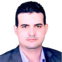 Bahaa Fawzy Selim