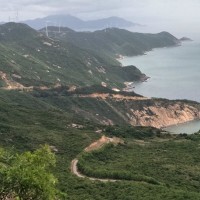 张敦融