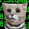 Илья Соловьев