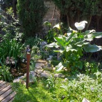 Carole Catherine GRAS