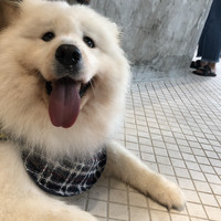 林家耀