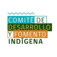 Comité De Desarrollo Y Fomento Indígena De Corfo