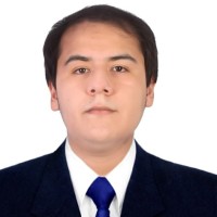 Jorge Luis Roman Mellan