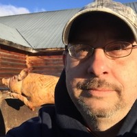 David Lingenfelter