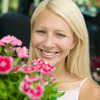 Rose Flower