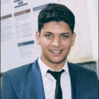 Hossam Hamed