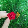 Su Mon Htet