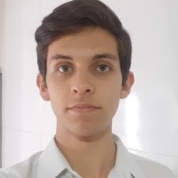 Raul De Paula Xavier Darela