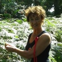 Mieke Hoen