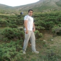 Siavash Tajmanesh