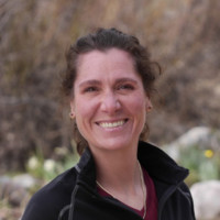 Andi Omtvedt