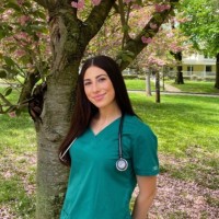 Lauren Pitarresi, Bsn, Rn, Pccn, Medsurg-Bc