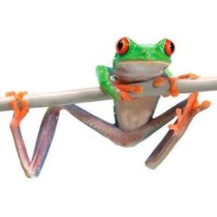 sarah-maude bussières