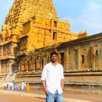 Vignesh N