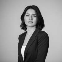 Anaily Lizarraga Cuevas