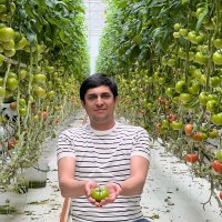 Rustam Rustamov
