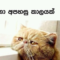 Rakitha Senaratne