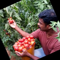 gtech agro industries