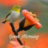 Azhar Raza