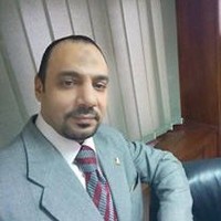 waleed fekry