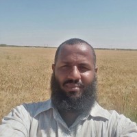 عمار الهادي