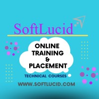 Softlucid Online Training