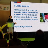 Isabel Martínez Castillo