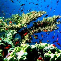 Oceanography Journal