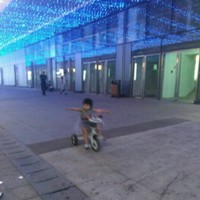 秦立成