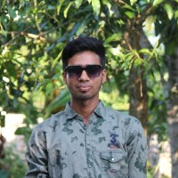Mahmudul Hasan Murad