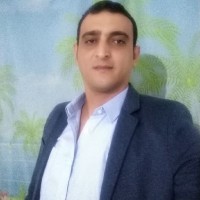Ayman Shawky