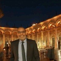 Amr Salah Mostafa