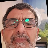 علی عرب عامری