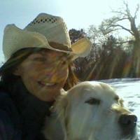 Karyn Webb