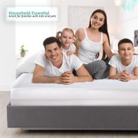 Sales Managers