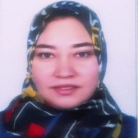 Ragaa Shehab